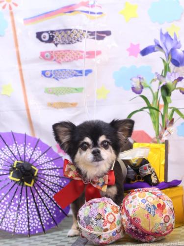 20240503モカちゃん